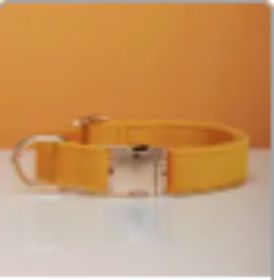 Multiple Colour Velvet Personalise Dog Collar Leash Set With Bow (Option: Yellow-M)